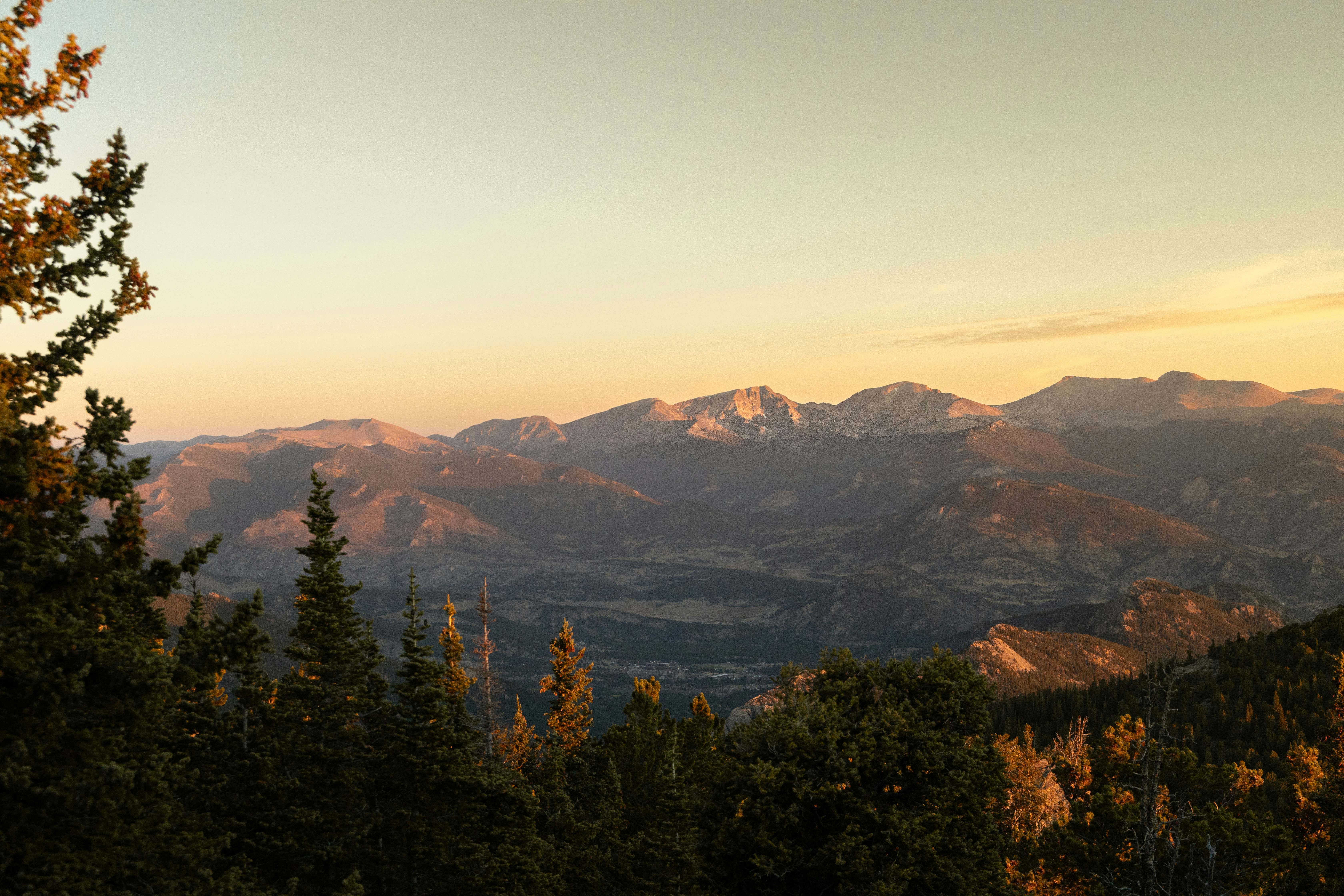 ISB Q&A Series: Danny Cullenward