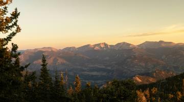 ISB Q&A Series: Danny Cullenward