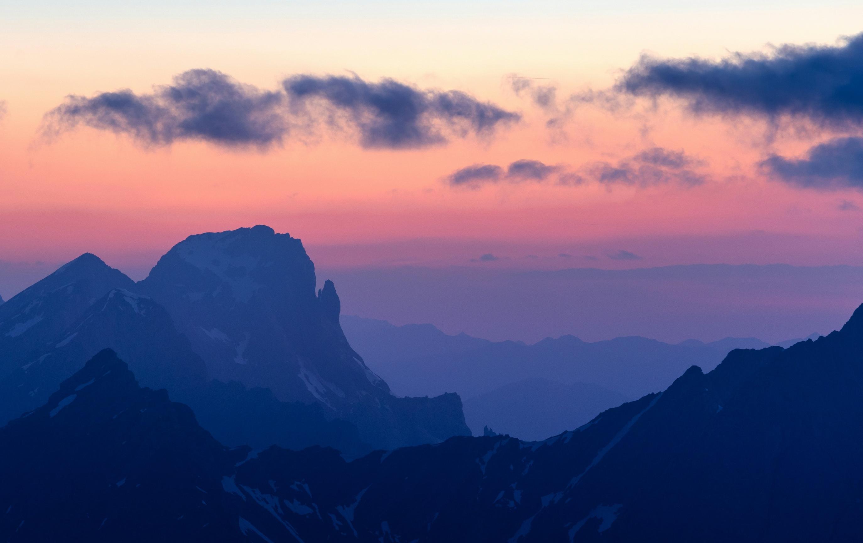 Donor Council Announcement