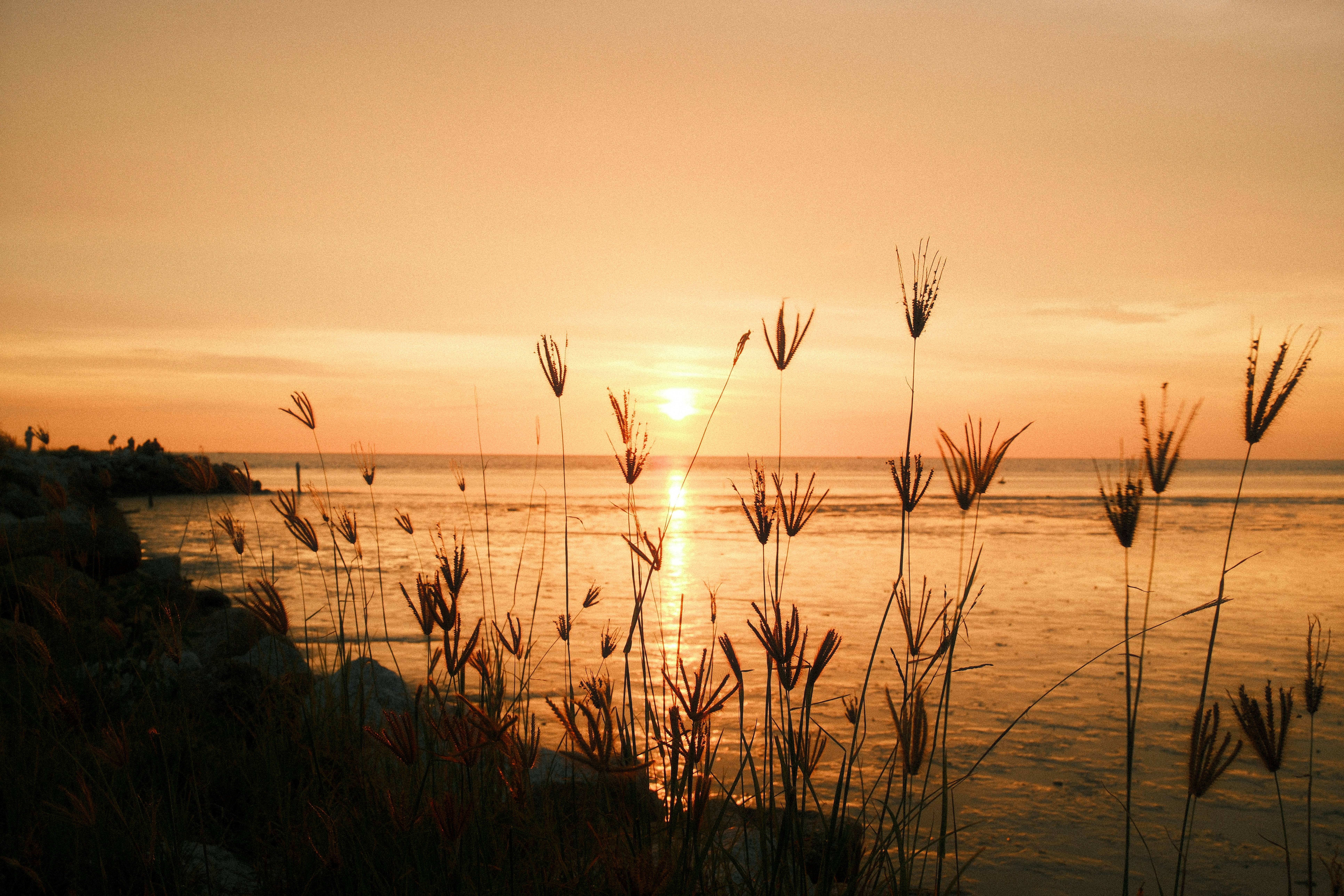 Observing Entities Announcement